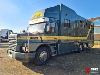 Horse truck SCANIA 113