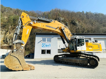 Crawler excavator Liebherr R976 HD (3946): picture 2