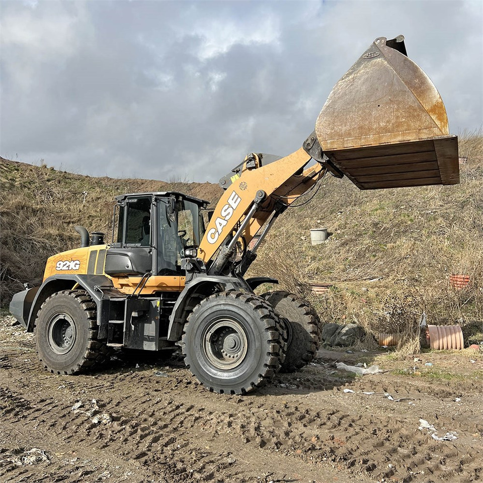 Wheel loader Case 921 G: picture 12